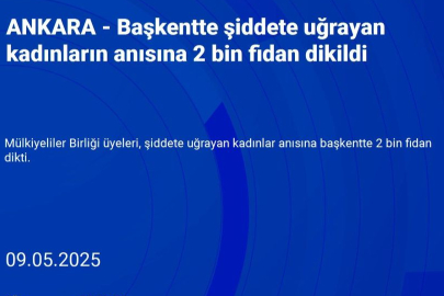 Başkentte şiddete uğrayan kadınların anısına 2 bin fidan dikildi