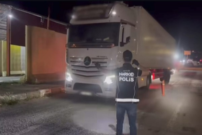 Bitlis'te Salça Kolilerinde Skunk Yakalandı: Bir Şüpheli Tutuklandı!