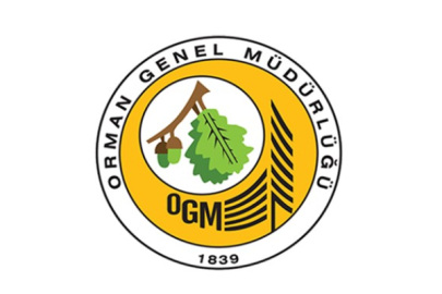 3 İlde Orman Yangınlarına Neden Olan 12 Kişi Hakkında İşlem