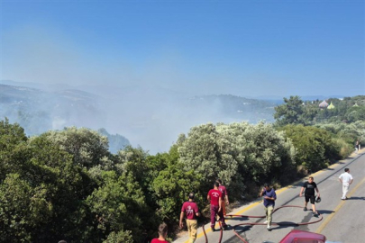 İzmir'de Yangınlarla Mücadele: İtfaiye Ekipleri Seferber Oldu