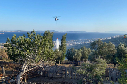 İzmir İtfaiyesi'nden Yoğun Hafta Sonu: 48 Saatte 220 Yangına Müdahale!