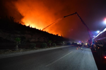 Yangın Tehlikesi Büyüyor: İzmir'de Ormanlar ve Yerleşim Yerleri Risk Altında