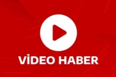 Yenimahalle’de Sahipsiz Köpeklerin Saldırısı Endişe Yarattı