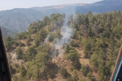 Eskişehir'de Yıldırımın Sebep Olduğu Orman Yangını Kontrol Altına Alındı