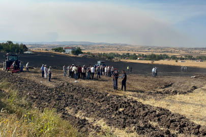 Çankırı'da Yangın: 100 Dekar Arazi ve Hayvanlar Öldü