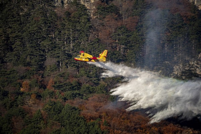 İzmir Buca ve Bornova'da Orman Yangını: 10 Uçak ve 12 Helikopter Görevde