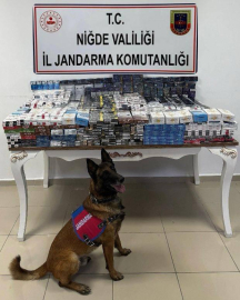 Niğde'de 3 bin 606 paket kaçak sigara ele geçirildi
