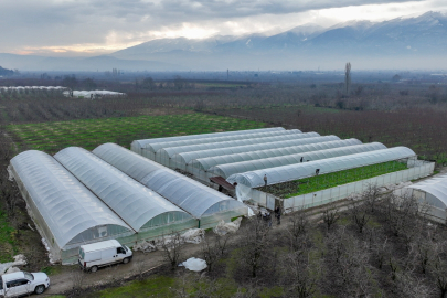 Lodostan Zarar Gören Seralara Büyükşehir Desteği